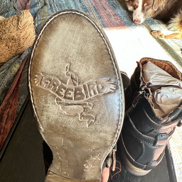 Freebird Raine 7 “black” - Picture 2 of 6